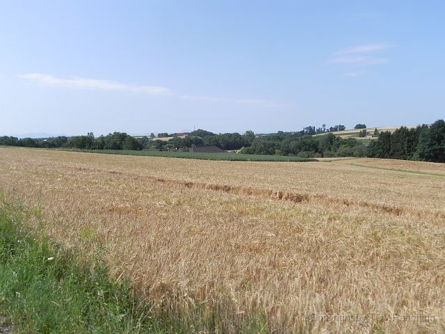 TT Steinhaus_007.JPG